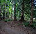 1311/15 Tennyson Rd Savary Island, British Columbia
