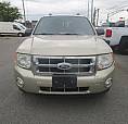 Ford Escape Xlt I4 4 Portes 4rm Ba Xlt Automatic 2011 4x4
