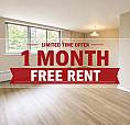 1 Bedroom Apartment For Rent