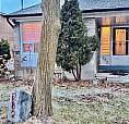 282 Roywood Drive Toronto (Parkwoods-Donalda), Ontario