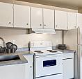 3 Bedroom Townhouse - 81 Ave. & 175 St.
