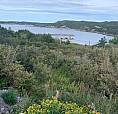 Ocean View Land Located In Scenic Plate Cove West