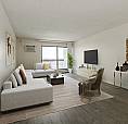 Affordable Apartments For Rent - Mayfair Manor - Apartment For R