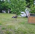 11283 Bottom Wood Lake Road Lake Country, British Columbia