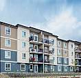 Pet-Friendly Two Bedroom Two Bath With In-Suite Laundry For Rent