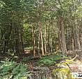75 000$ - Terrain Résidentiel À Vendre À Wentworth