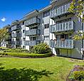 Terrace Green - Bachelor Available At 180 Croft Street, Victoria