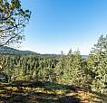 1530 Nighthawk Lane Sooke, British Columbia