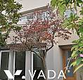 Kits Point 2 Bed Duplex For Rent 1967 Whyte Ave Vancouver: Vadap