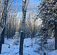 Lot 1046 Tagish Estates