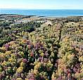 Lot 11 Edmond Road Point Cross, Nova Scotia