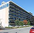 Brand New Renovated 3 Bedroom Luxury Apartments In Ottawa