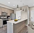 The Level - 1 Bedroom + Den Apartment For Rent