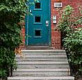Move In Today! 1 Bedroom Apartment In The Glebe - Pretoria Ave