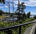 204 596 Marine Dr Ucluelet, British Columbia