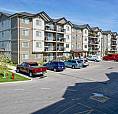Pet-Friendly Two Bedroom One Bath With In-Suite Laundry For Rent