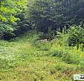999 999$ - Terrain Résidentiel À Vendre À Brownsburg-Chatham