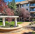 #312 8942 156 Street Nw Edmonton, Alberta