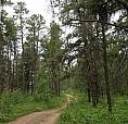 1-3 Lot 1.75 Acre Hudson Bay Rm No. 394, Saskatchewan