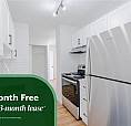Gym, Resident Library, Dog Run And More | Beautifully Renovated 