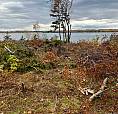 Waterfront Lot In Johnstons River