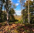 Terrains De 7,7 Acres A Vendre à Morin Heights