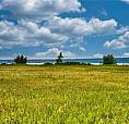 Nw-Pt-06-53-21-W3 Mervin Rm No.499, Saskatchewan