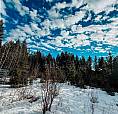 5724 Timothy Lake Road Lac La Hache, British Columbia