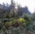 Rll1 Strawberry Lane, Sunshine Valley Hope, British Columbia
