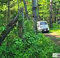 $175,000 - Wood Lot In Shawinigan (st-gerard-des-laurentides)