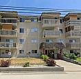 1 Bedroom (All Utilities Inc) + $500 Move In Bonus! $1,395