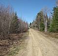 New Price, 11 Acres For Sale, Cocagne Area.