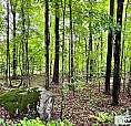 99 000$ - Terrain Résidentiel À Vendre À La Pêche (Alcove)