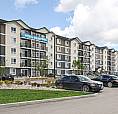 Pet-Friendly One Bedroom One Bath With In-Suite Laundry For Rent
