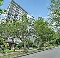 1 Bedroom Apartment For Rent - 1765 Pendrell Street