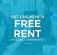 Pet-Friendly Three Bedroom Two Bath With In-Suite Laundry For Re