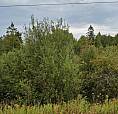 2 Cherry Hill Road Northern Bruce Peninsula, Ontario