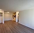 Modern 1 Bed 1 Bath - $1095/mo With $300 Credit First 3 Months