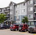 Pet-Friendly Two Bedroom One Bath With In-Suite Laundry For Rent