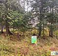 105 000$ - Terrain Résidentiel À Vendre À St-Michel-Des-Saints