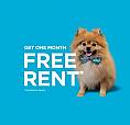 Pet-friendly One Bedroom One Bath With In-suite Laundry For Rent