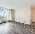 One Month Free!  Bachelor  - Centretown/elgin/bank/downtown