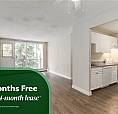 Beautifully Renovated Suites With Walk-In Closets | Gym, Social 