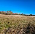 17.5 Acre Property