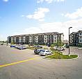 Pet-Friendly Three Bedroom One Bath With In-Suite Laundry For Re