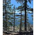 Lot 48 Orca Road Garden Bay, British Columbia