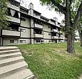 Spacious 2 Level 2 Bed 1.5 Bath Apartment For Rent On 8th Street