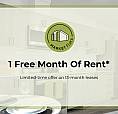 One Month Free Rent In Downtown Kitchener