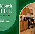 Newly Renovated Suites For Rent At The Stanley | Steps Away From