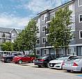 Pet-Friendly Two Bedroom One Bath With In-Suite Laundry For Rent